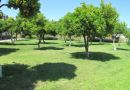 BATONT GARDEN RESORT HOTEL