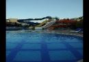 GREEN NATURE RESORT&SPA