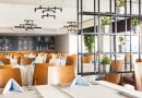 SUNPRIME C LOUNGE